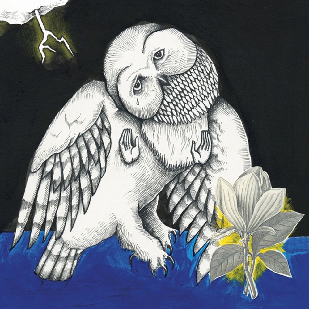 

Виниловая пластинка LP Magnolia Electric Co. [10th Anniversary Edition] - Songs: Ohia