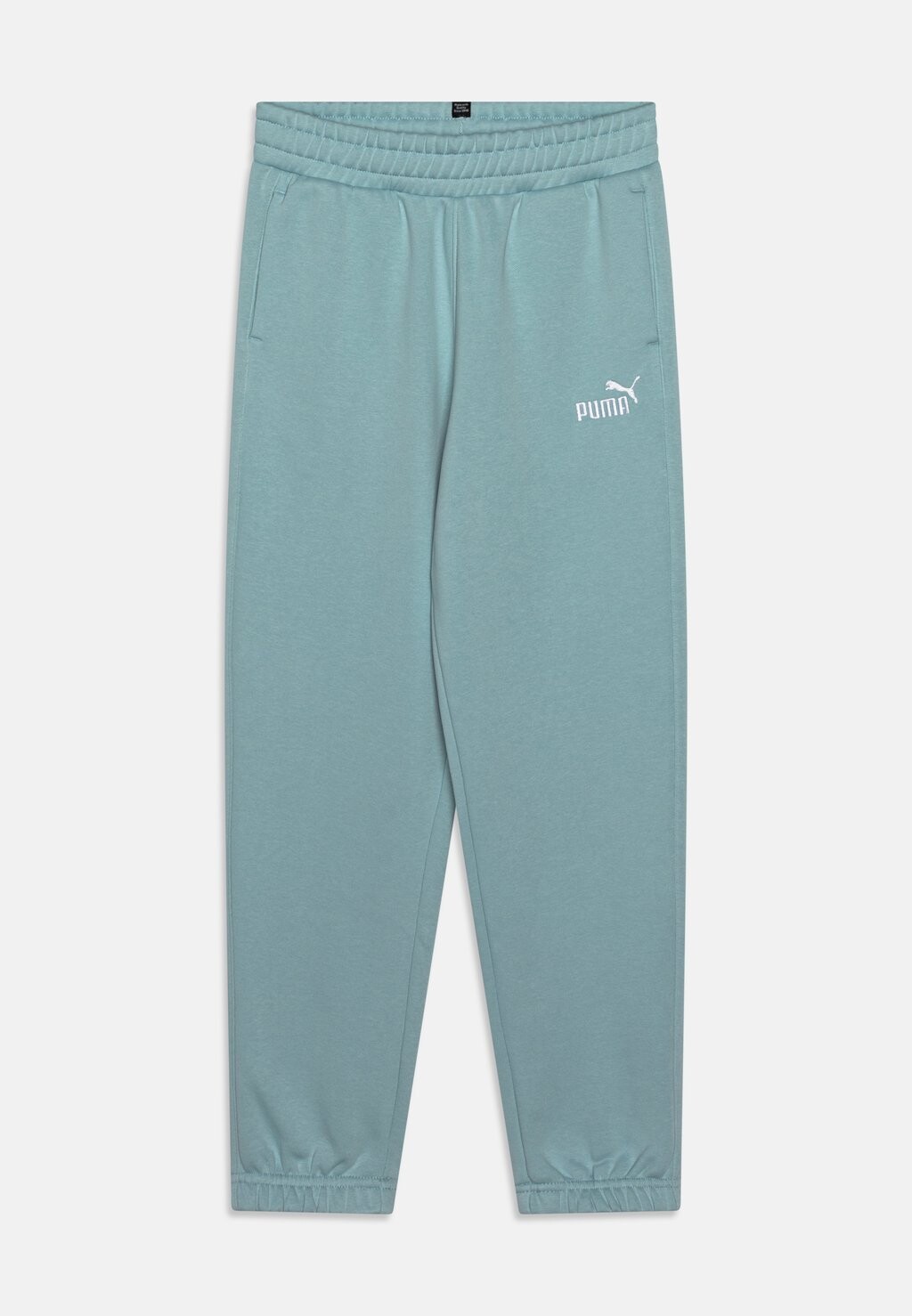 

Спортивные брюки Embroidery Unisex Puma, цвет turquoise surf