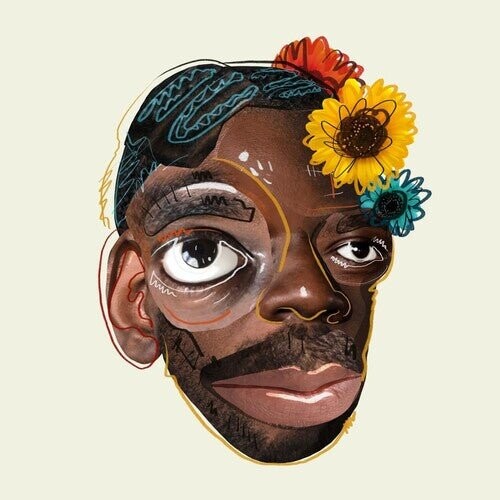 

Виниловая пластинка Nnamdi - Please Have A Seat