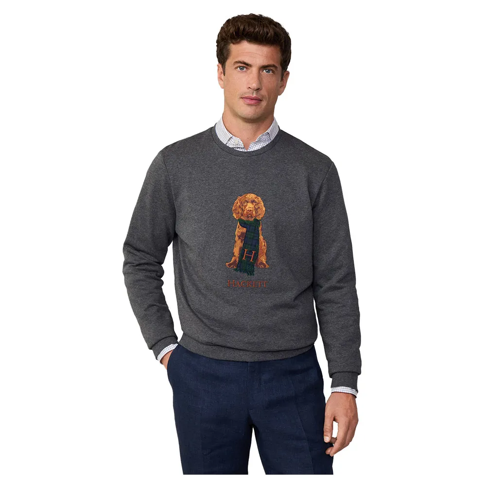 

Толстовка Hackett Harry, серый