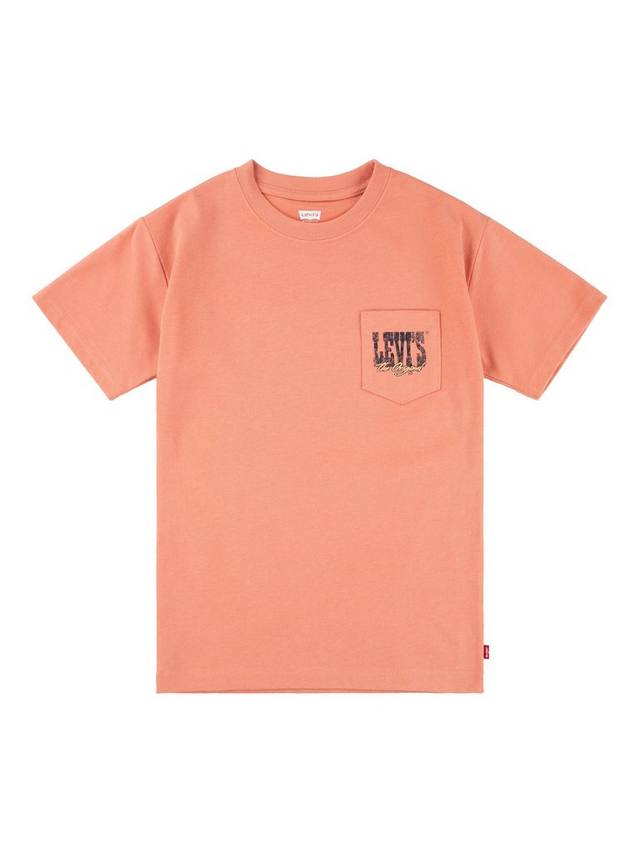 

Детская футболка Canyon Levi's, Orange