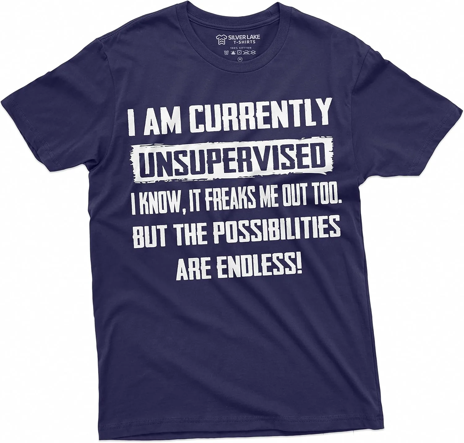 

Мужская футболка I am Currently Unsupervised с забавной надписью Silver Lake T-shirts