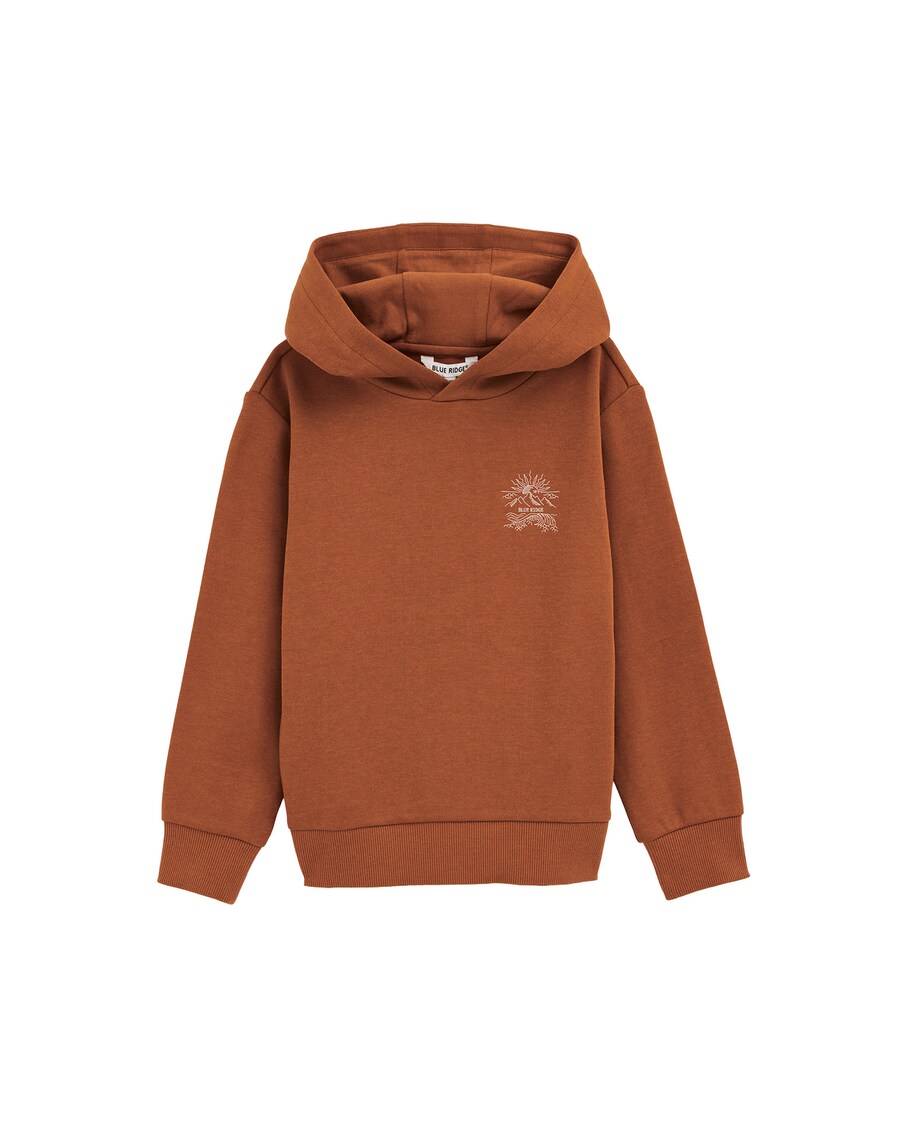 

Толстовка WE Fashion, Brown