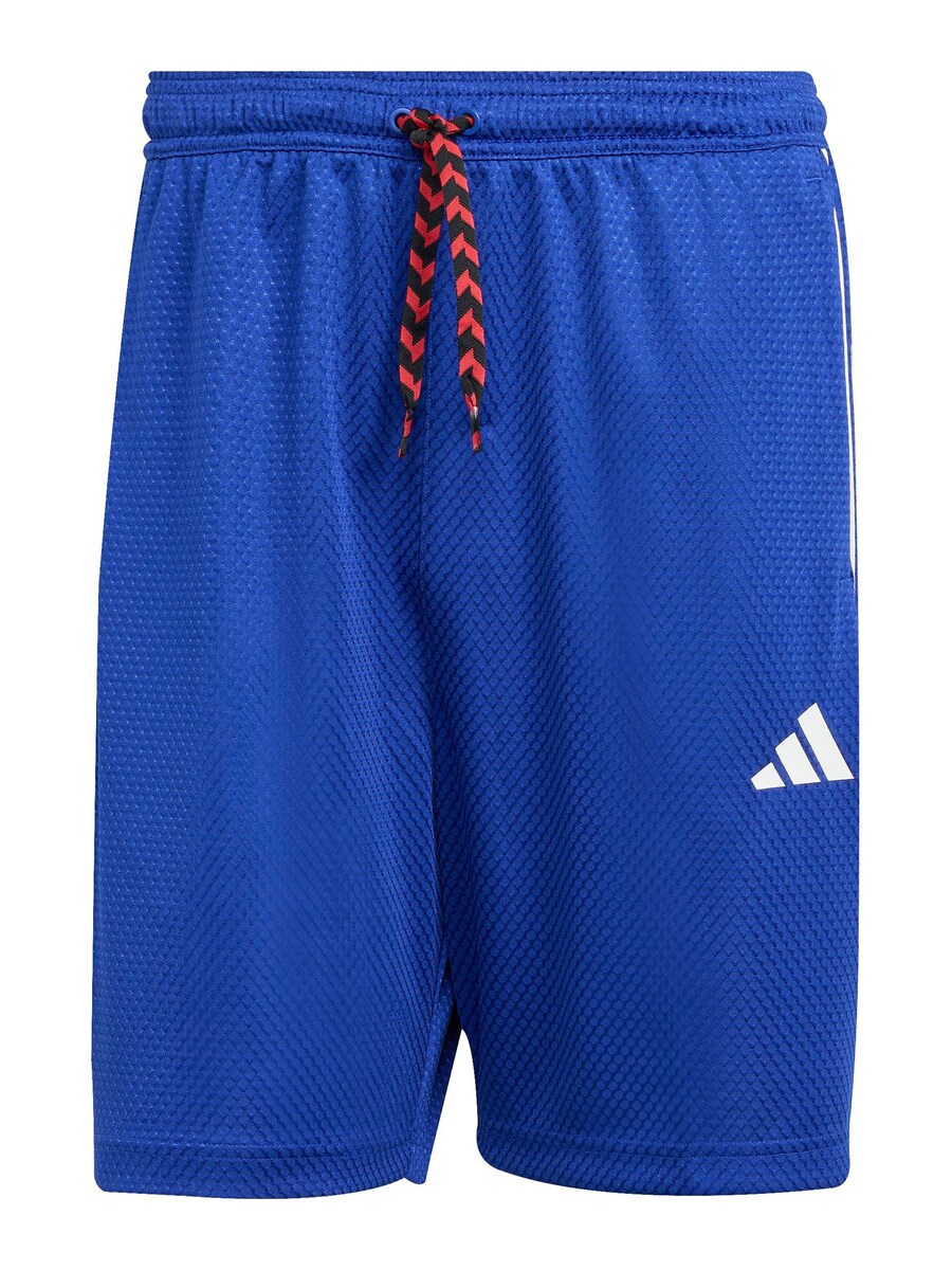 

Обычные спортивные штаны ADIDAS SPORTSWEAR TIRO, синий