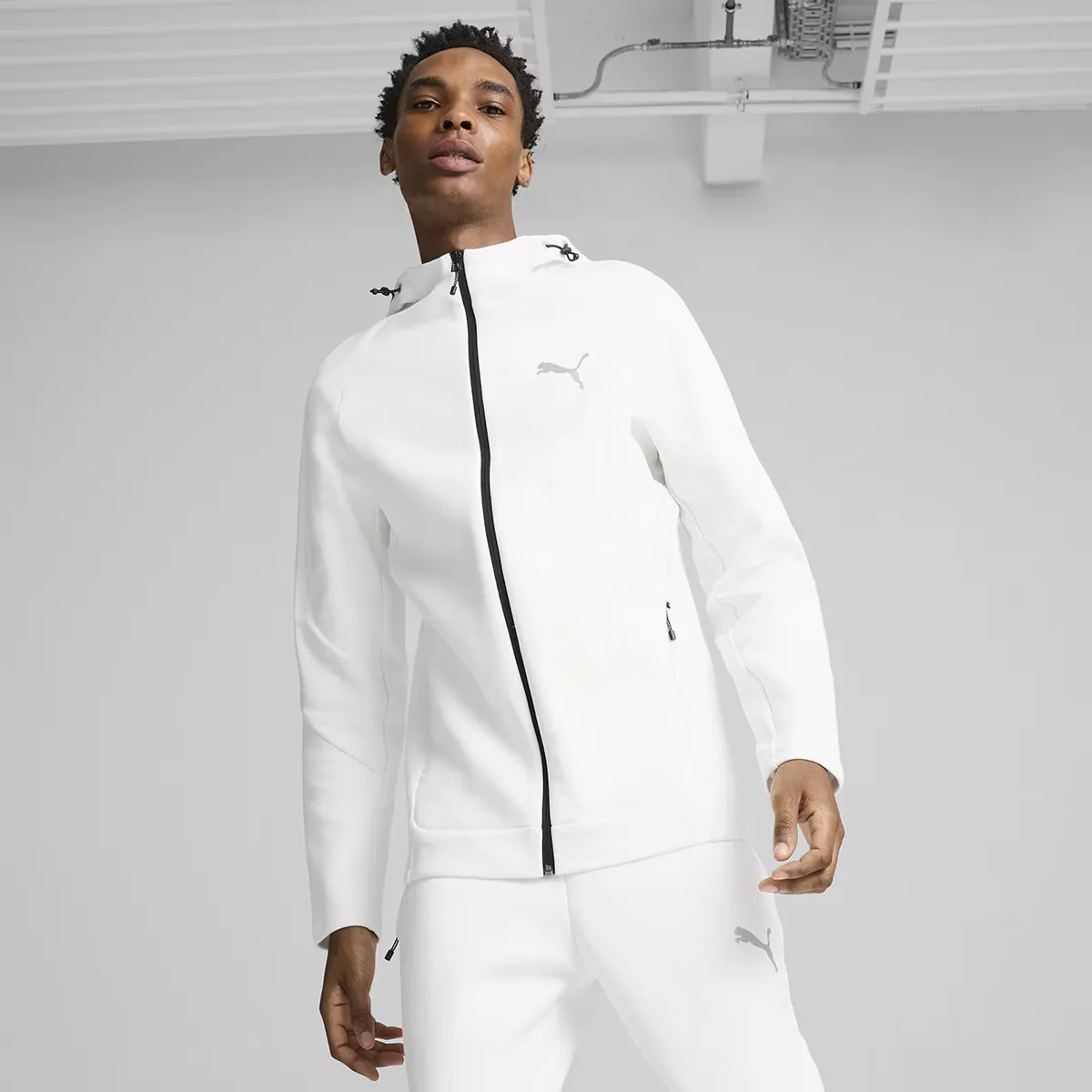 

Мужская толстовка с капюшоном Puma Evostripe Full-Zip DK, белый