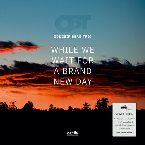 

Виниловая пластинка Oddgeir Berg Trio: While We Wait For A Brand New Day