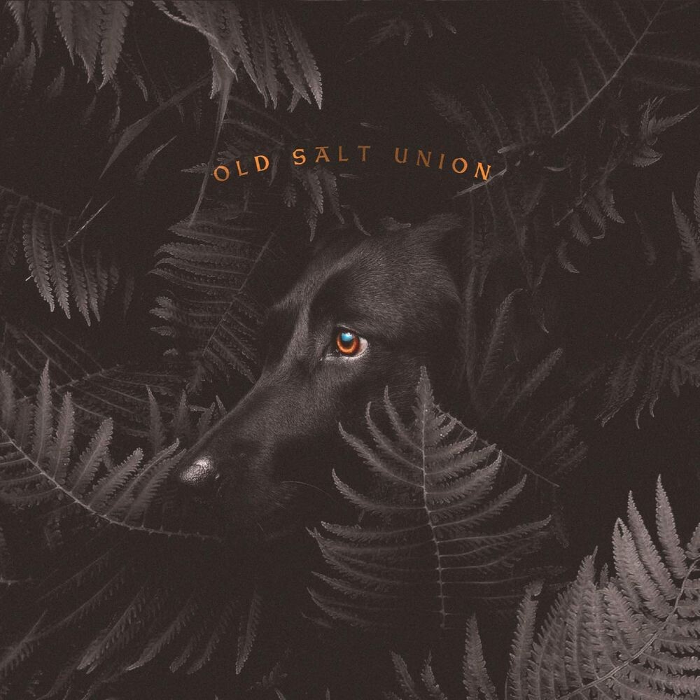 

Виниловая пластинка LP Where The Dogs Don't Bite - Old Salt Union