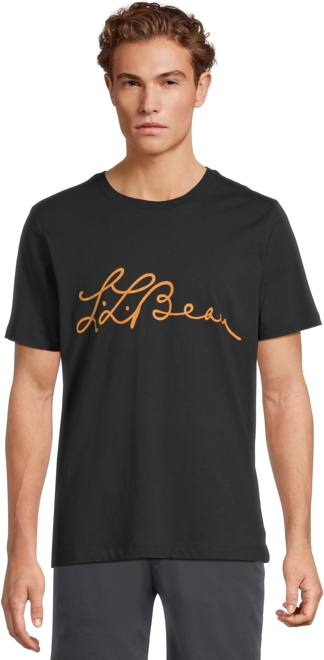 

Футболка L.L.Bean Signature Premium Essential Graphic Tee, Short Sleeve, цвет Black Slate