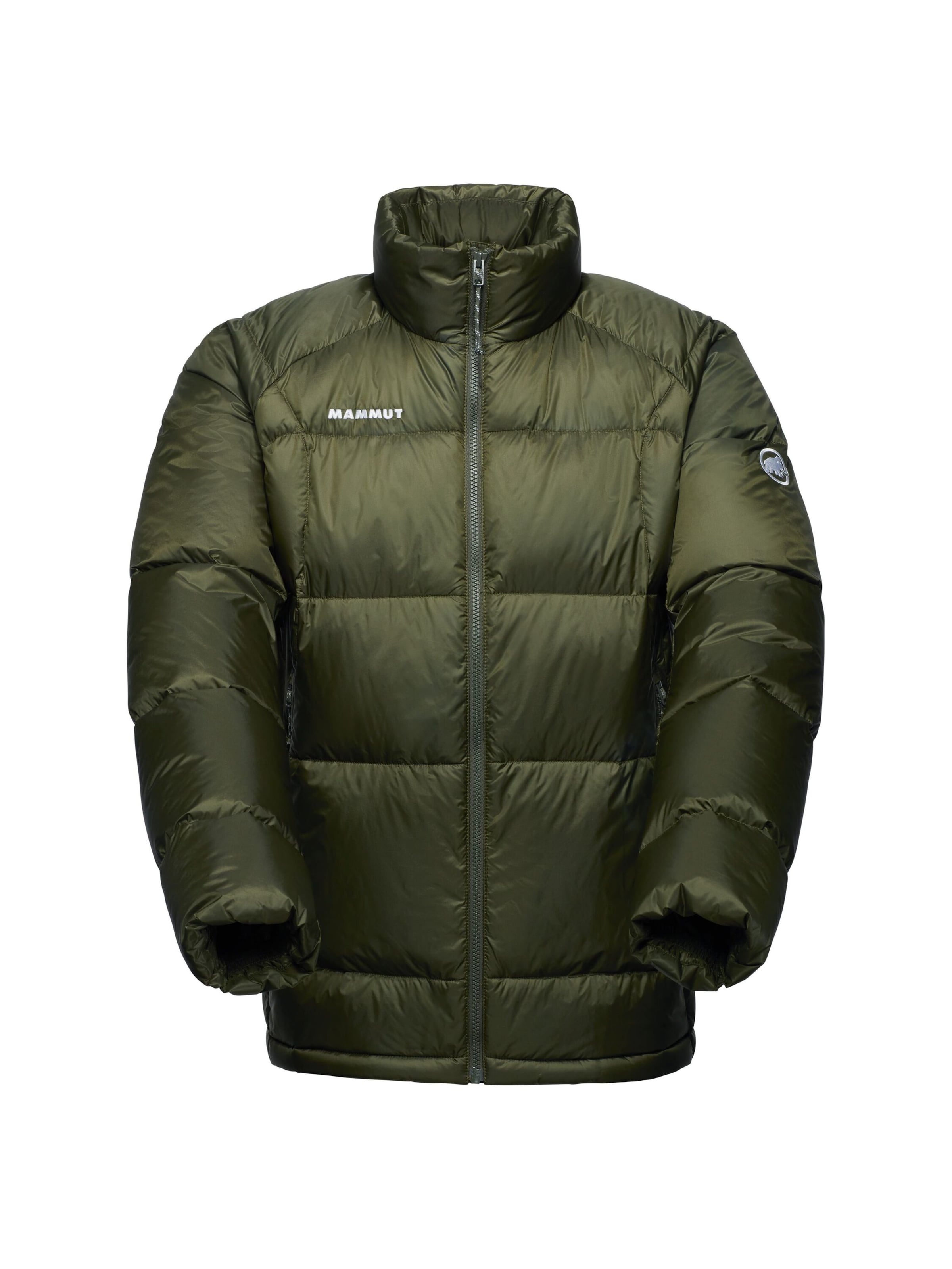 

MAMMUT Куртка Outdoor 'Glaciar Clow IN' в цвете Fir