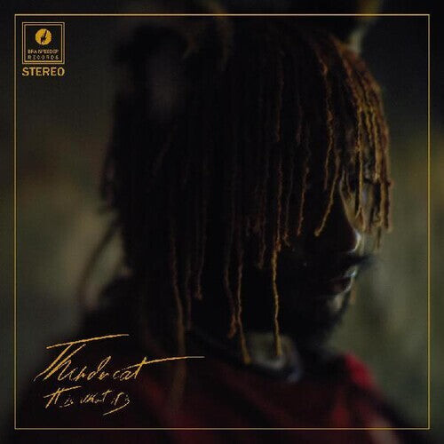 

CD диск Thundercat: It Is What It Is