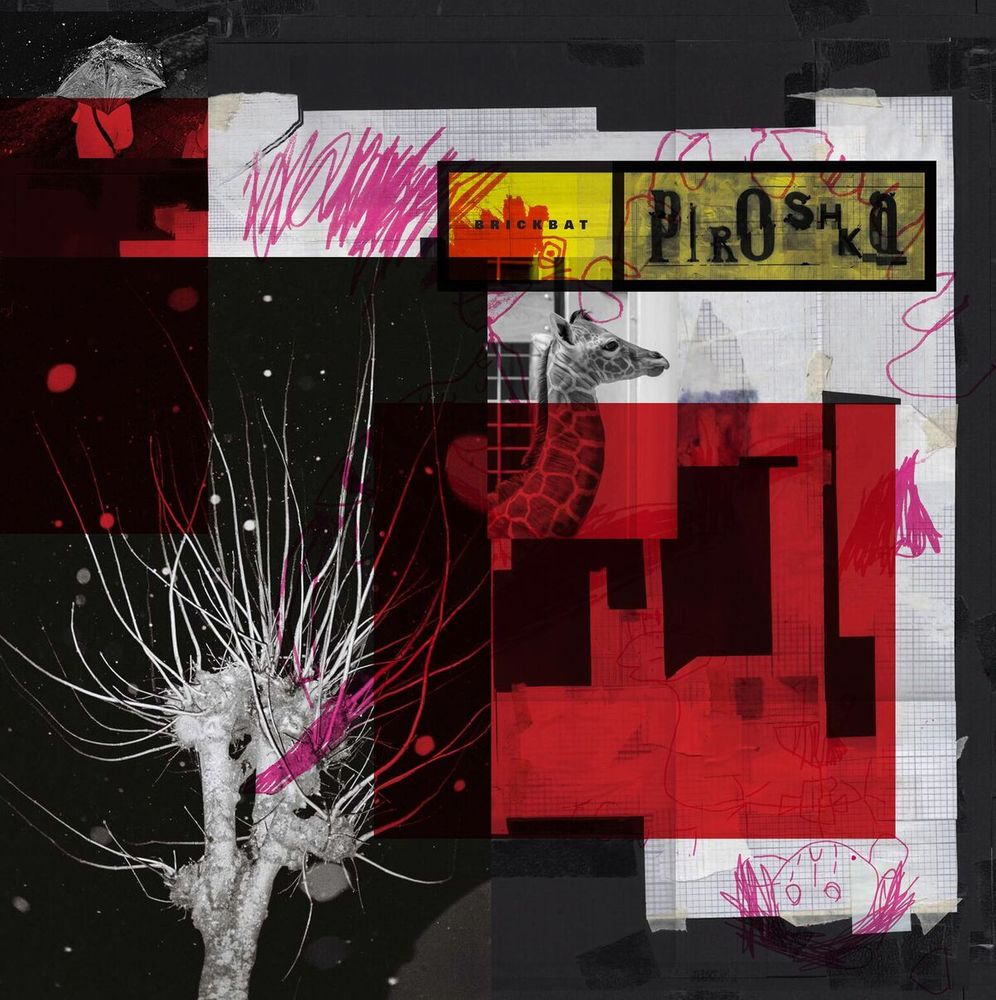 

Диск CD Brickbat - Piroshka