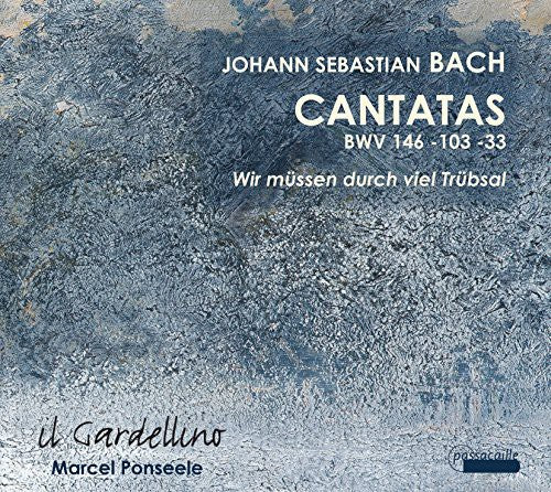 

CD диск Bach / Il Gardellino / Ponseele: Cantatas BWV 146 103 & 33