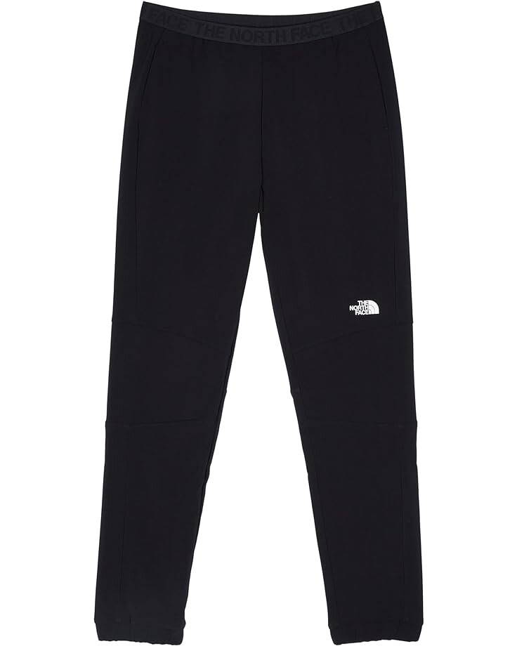 

Брюки The North Face Tekware Joggers, цвет TNF Black
