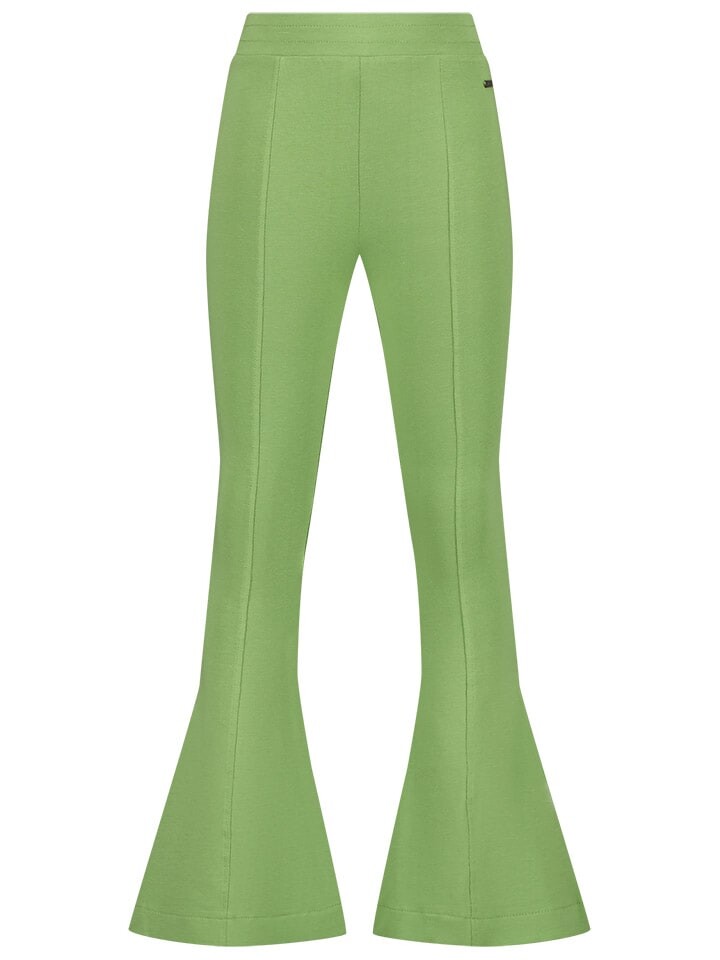 

Леггинсы RAIZZED Leggings, зеленый