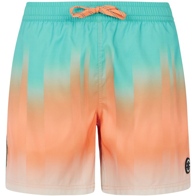 

Плавки-Шорты prtbowery Protest, оранжевый