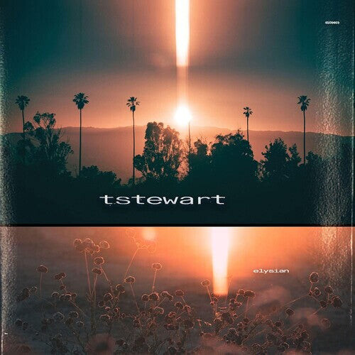 

CD диск Tstewart / Machinedrum: Elysian