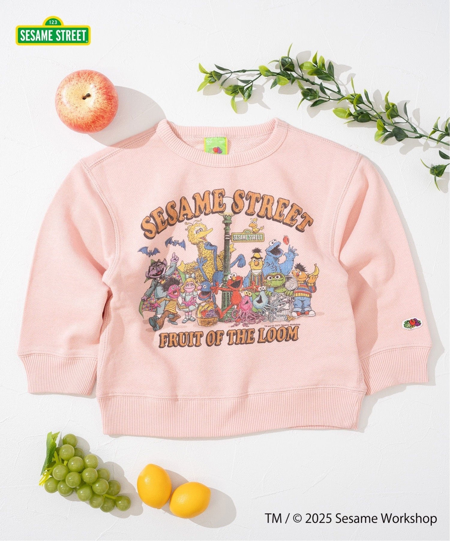Толстовка с длинным рукавом FRUIT OF THE LOOM/(K), Pink