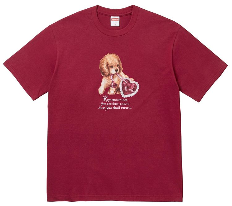 

Футболка Supreme Dust Tee, красный