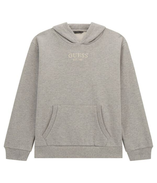 

Толстовка Guess Regular Fit, серый