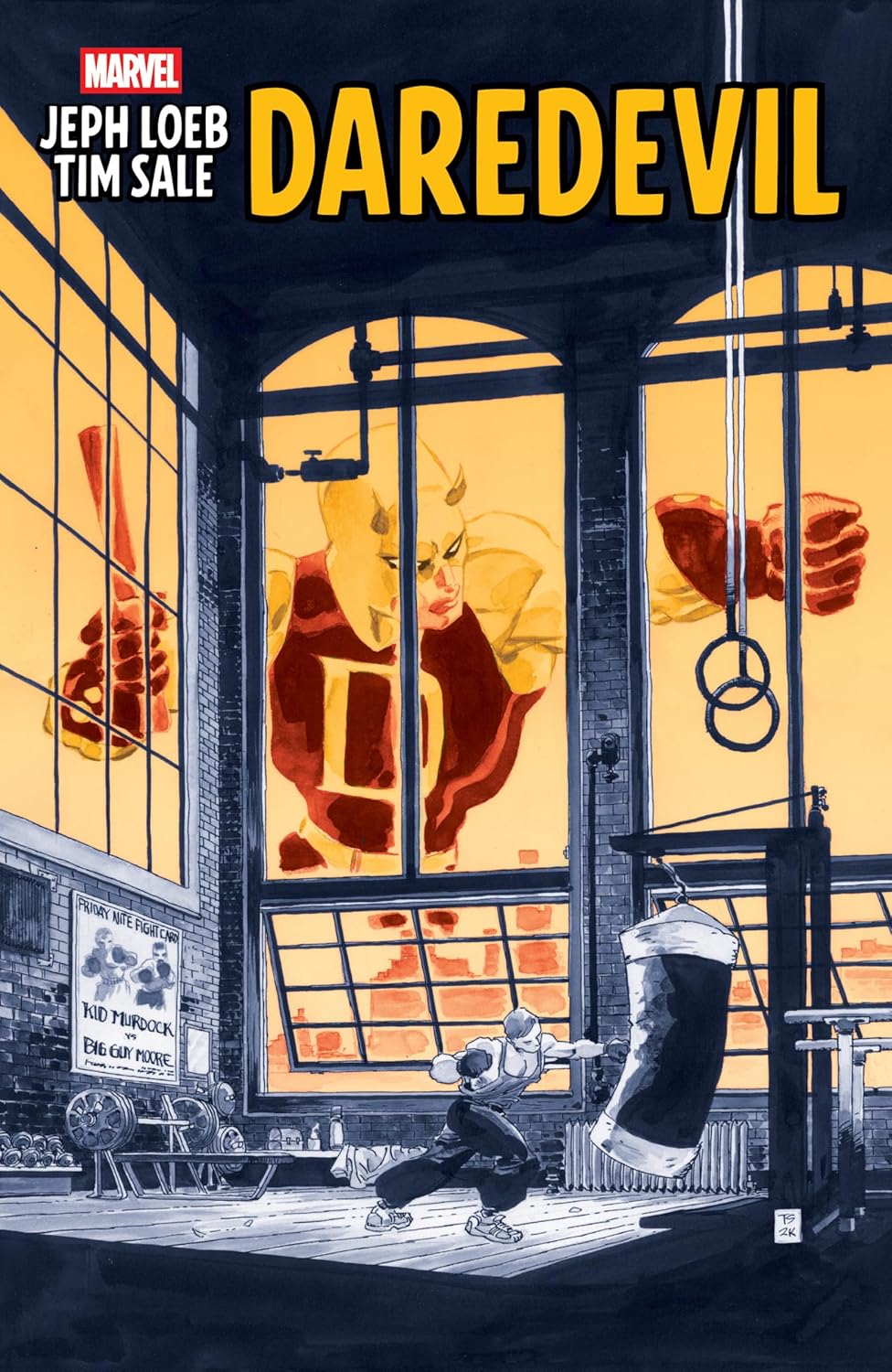 

Jeph Loeb & Tim Sale: Daredevil (Marvel Universe)