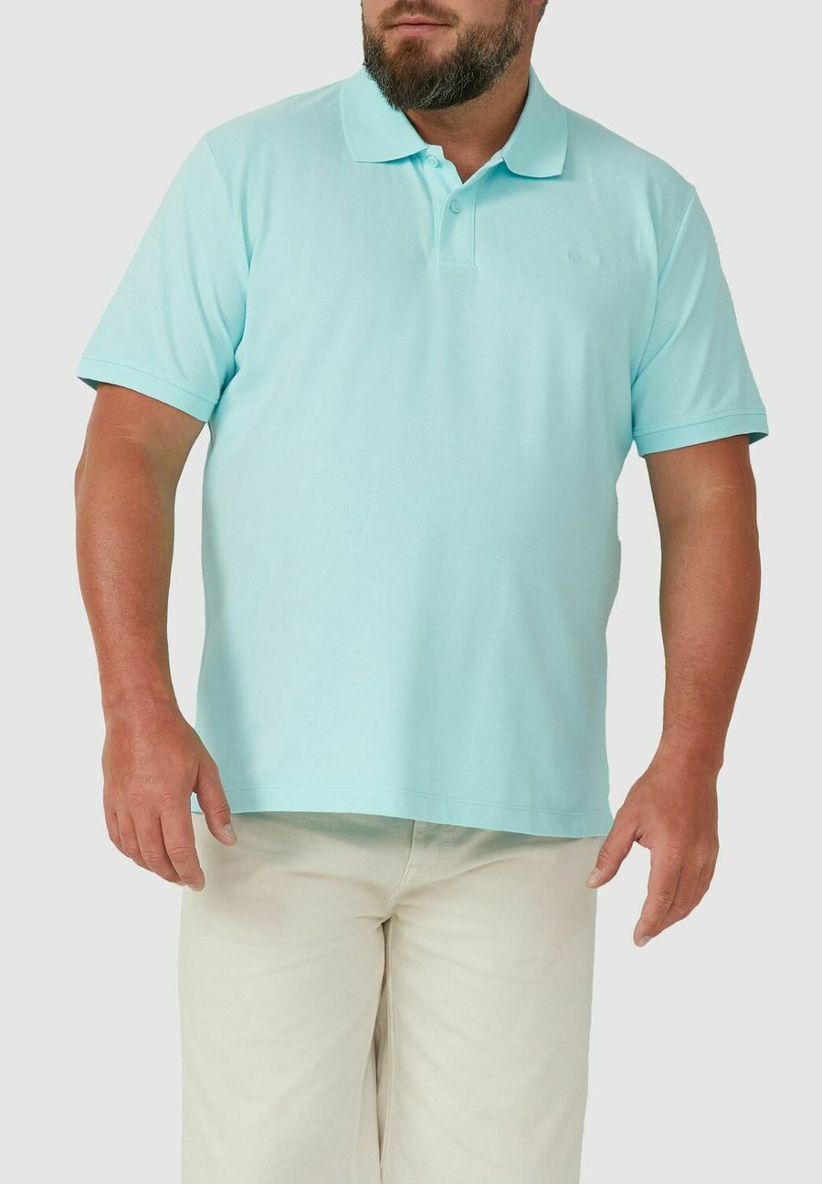 

Поло s.Oliver Polo shirt, Minze/Mint, Зеленый, Поло s.Oliver Polo shirt, Minze/Mint