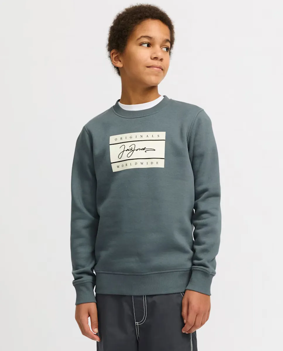 

Свитшот без капюшона для мальчика с принтом спереди Jack & Jones, серый