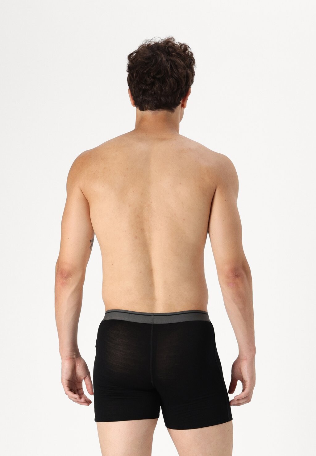 

Брюки MEN MERINO 150 ANATOMICA BOXERS WFLY Icebreaker, черный