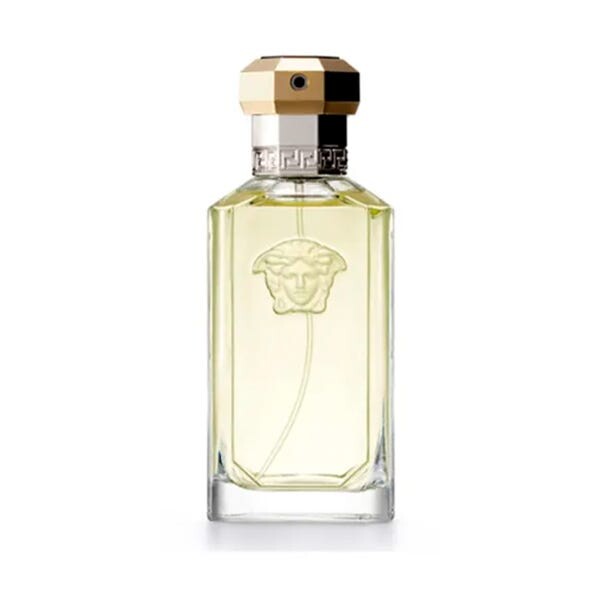 

The Dreamer 100 мл Versace
