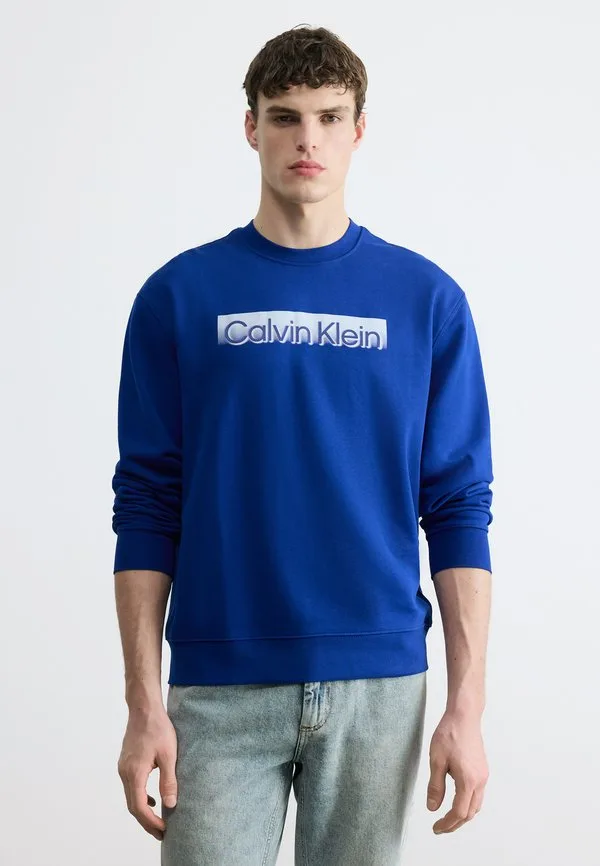 Спортивная толстовка с графическим принтом и стандартным логотипом Calvin Klein, Blue Majesty