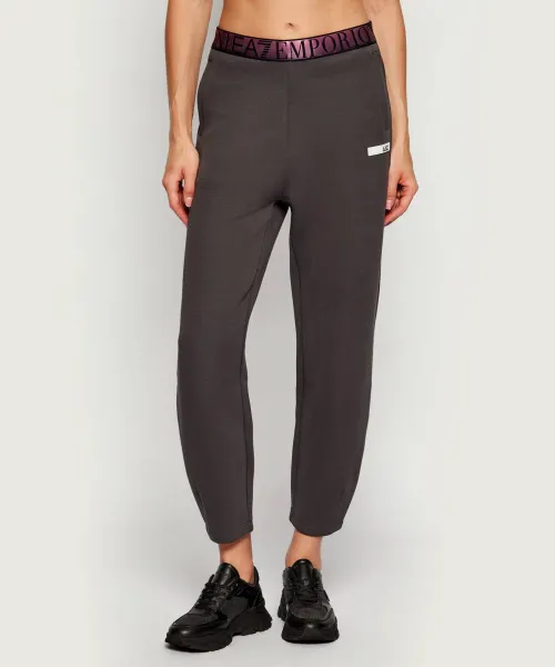 

Спортивные штаны Regular fit Ea7, серый