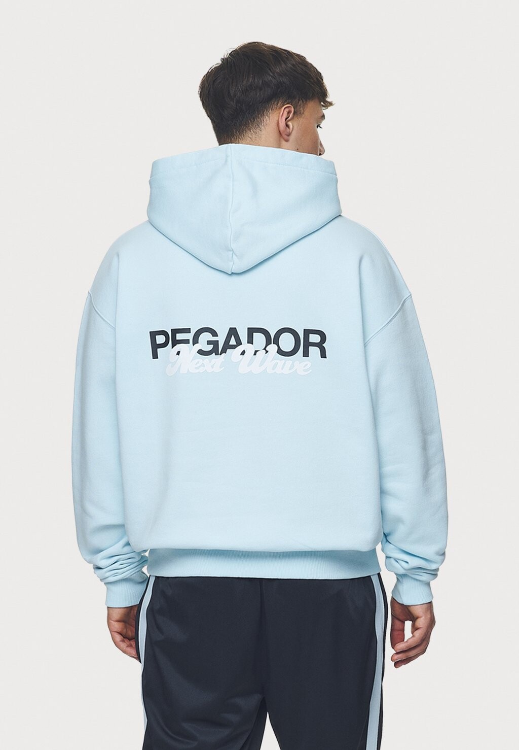 

Толстовка с капюшоном ALESO HOODIE Pegador, светло-голубой