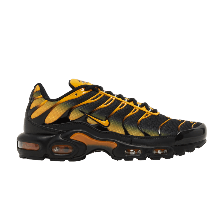 

Кроссовки Nike Air Max Plus 'Black Sundial', черный