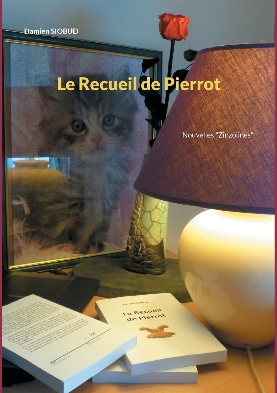 

Le Recueil de Pierrot: Nouvelles "Zinzolines" (French Edition) (Bod - Books on Demand)