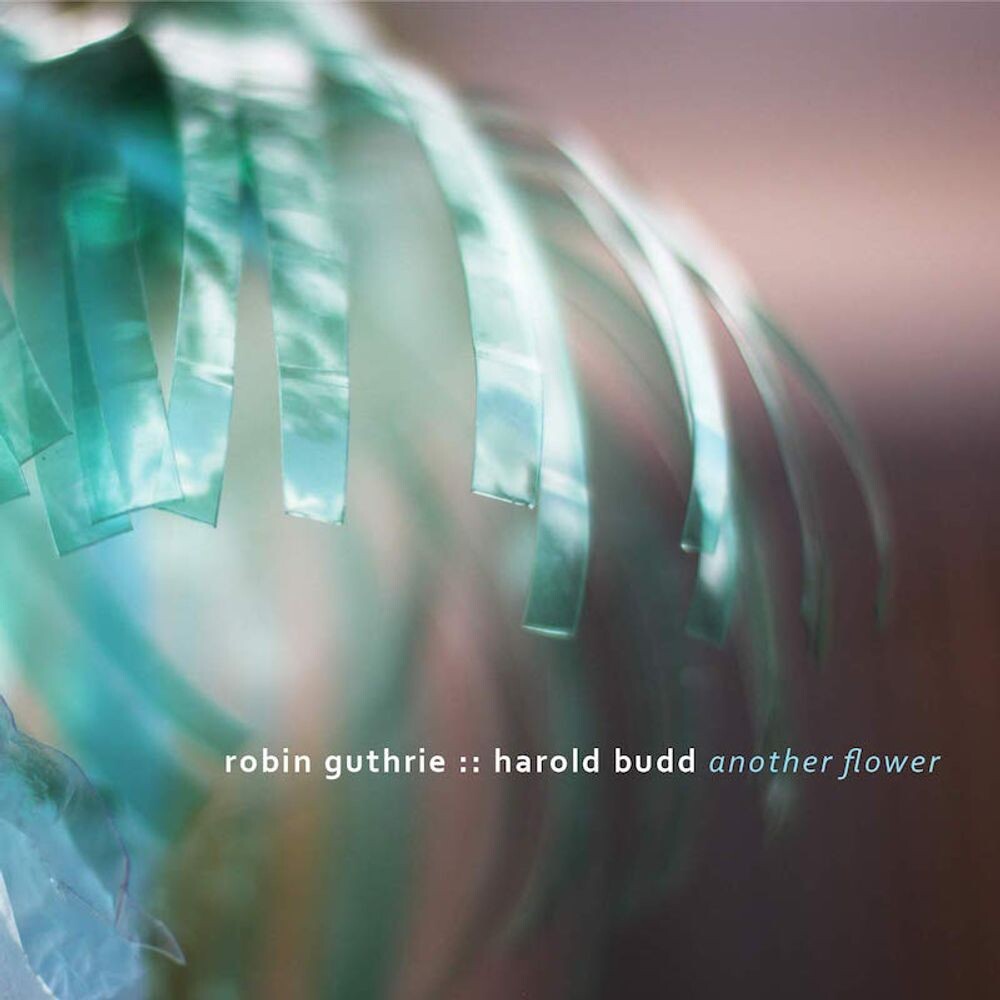 

Диск CD Another Flower - Robin Guthrie, Harold Budd
