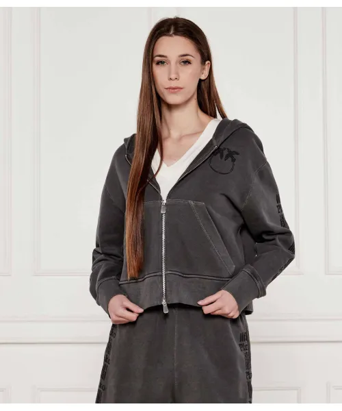 

Толстовка Onitsha Loose fit Pinko, серый