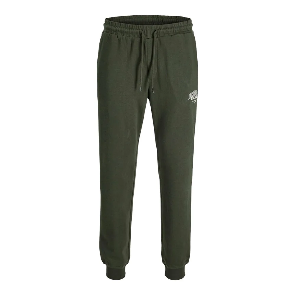 

Спортивные брюки Jack & Jones Gordon Makoto, зеленый