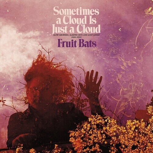 

Виниловая пластинка Fruit Bats - Sometimes A Cloud Is Just A Cloud: Slow Growers