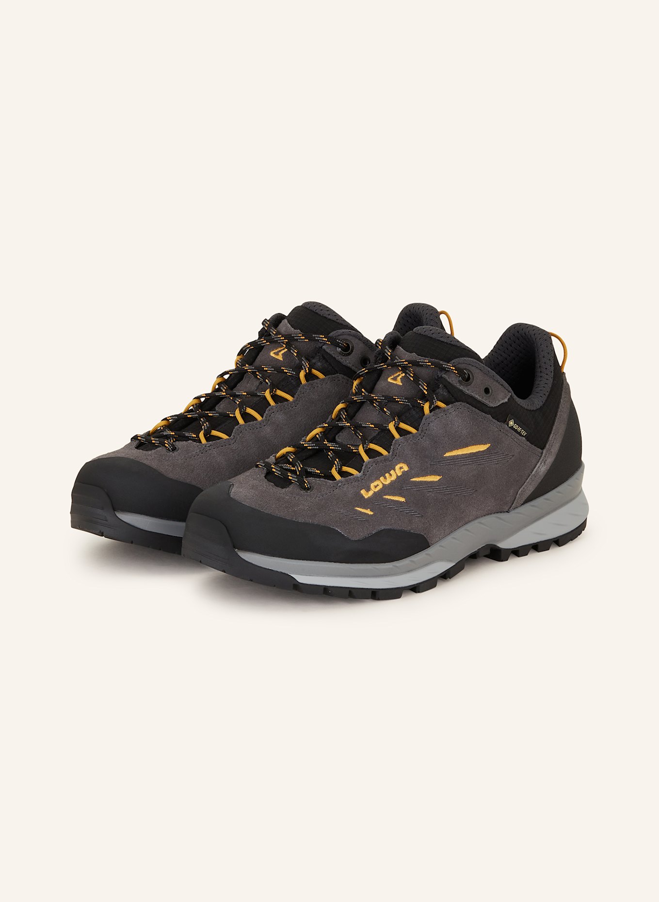 

Ботинки для походов Delago GTX Lo Lowa, мультиколор