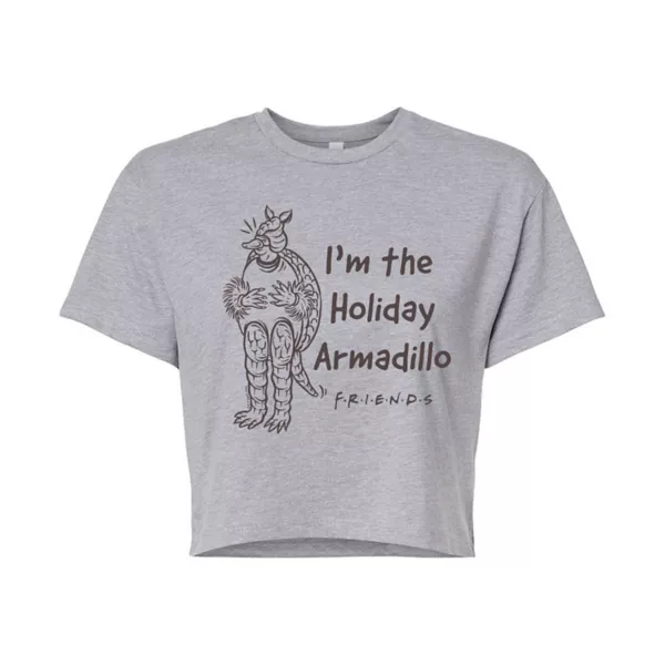 

Детский укороченный топ Holiday Armadillo с принтом друзей Licensed Character, серый