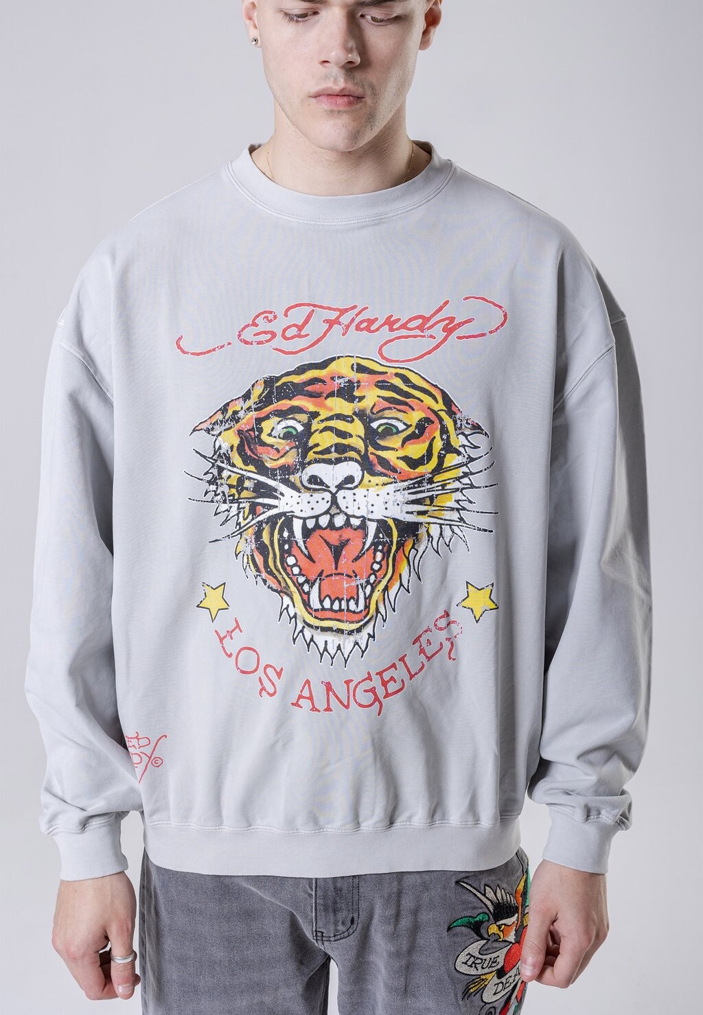 

Толстовка Tiger-Vintage Ed Hardy, цвет washed grey