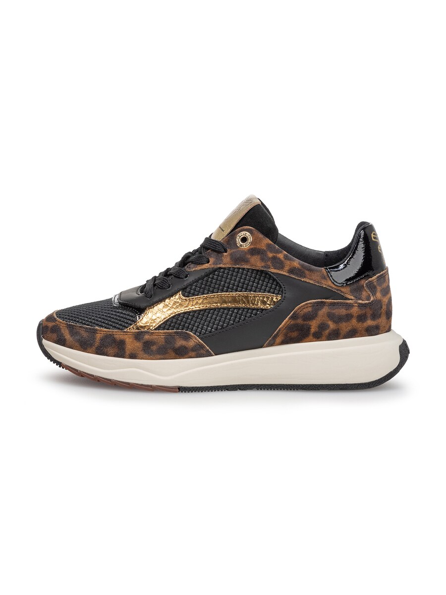 Кроссовки Floris van Bommel Suvi 02, Brown