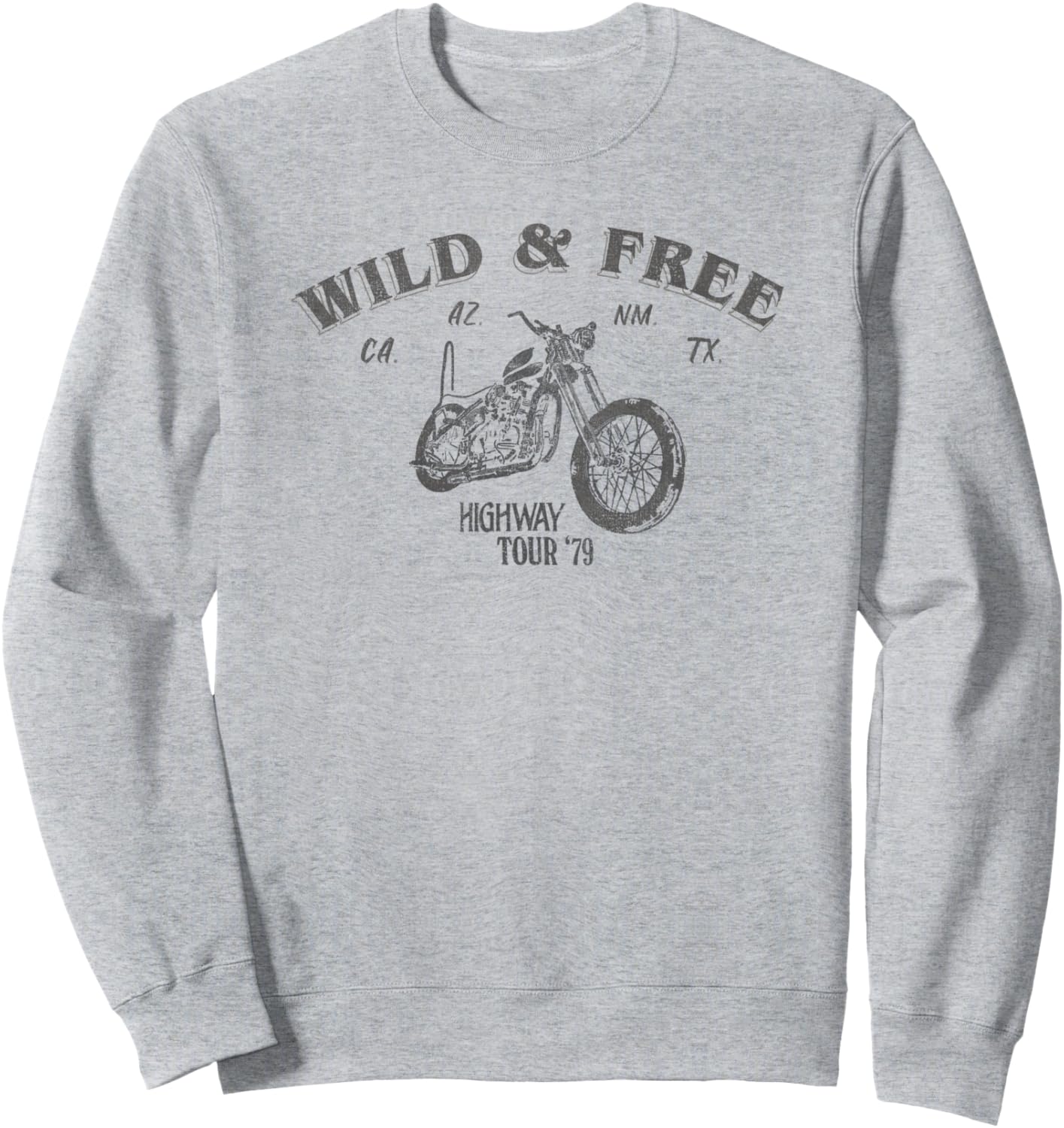 

Толстовка с выцветшим изображением мотоцикла Wild & Free Highway Tour '79 Trendy Apparel, серый
