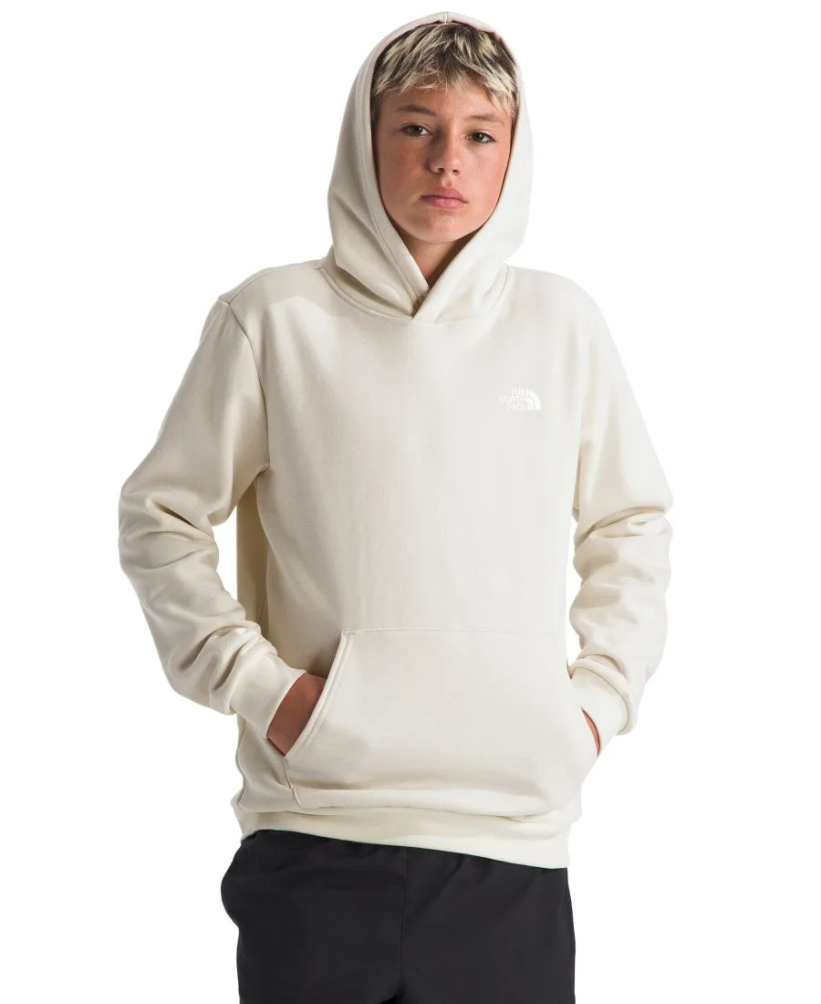 Толстовка Evolution Box NSE Pull-On для девочек и мальчиков 7-16 лет The North Face, белый dune — фото 3