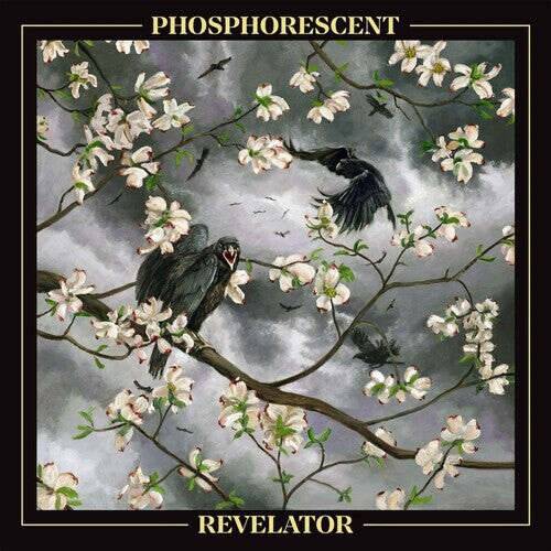 

CD диск Phosphorescent: Revelator