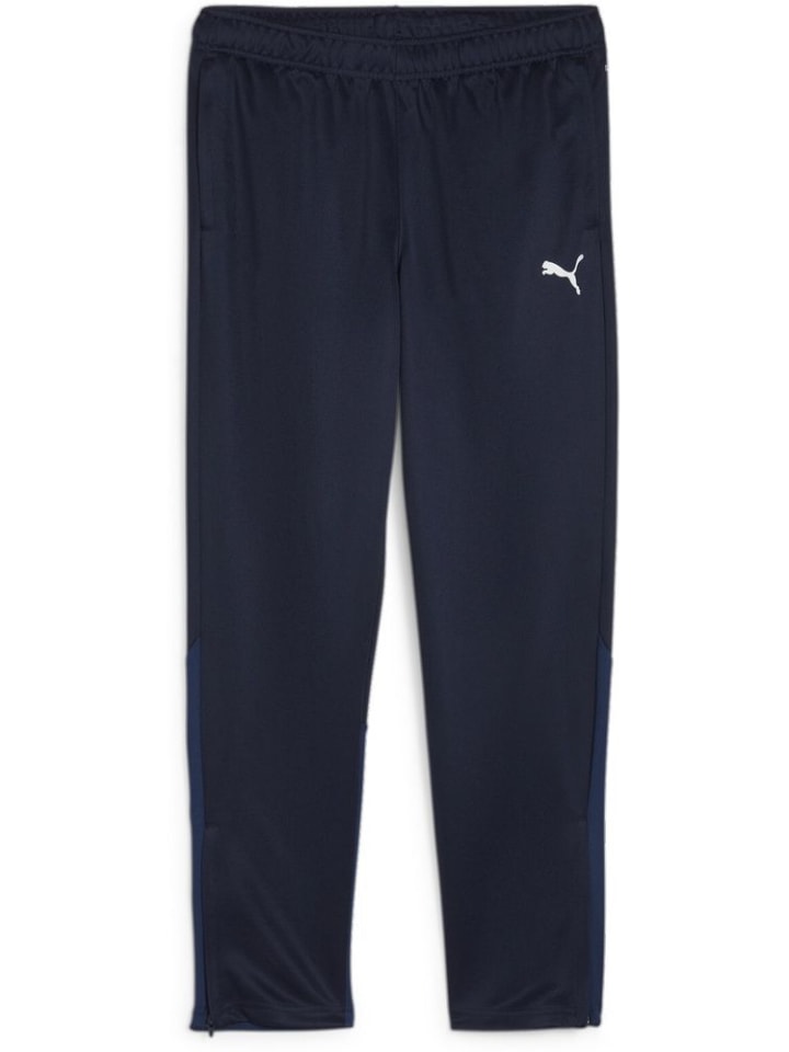 

Спортивные брюки TeamGoal Training Pant Wmn синего цвета Puma