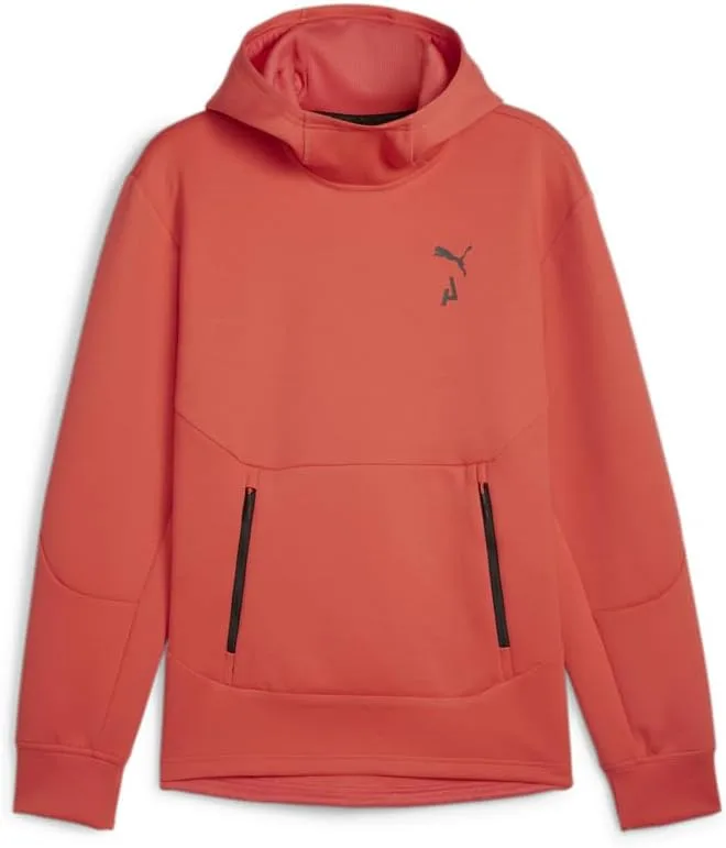

PUMA мужская толстовка Seasons Logo Tech
