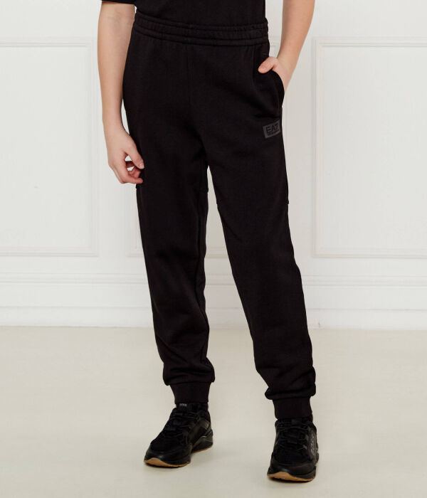 

Брюки Regular fit Ea7, черный