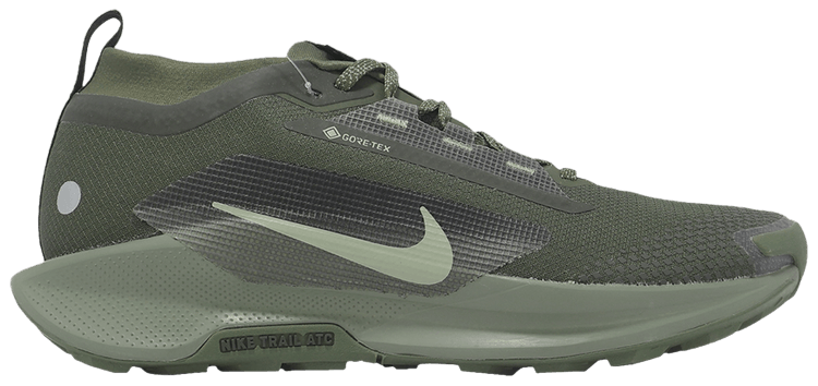 

Кроссовки Nike Pegasus Trail 5 GORE-TEX 'Sequoia Cargo Khaki', зеленый