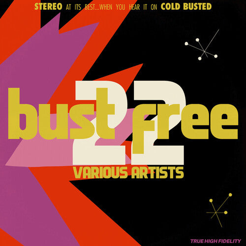 

Виниловая пластинка Bust Free 22 / Various: Bust Free 22 (Various Artists)