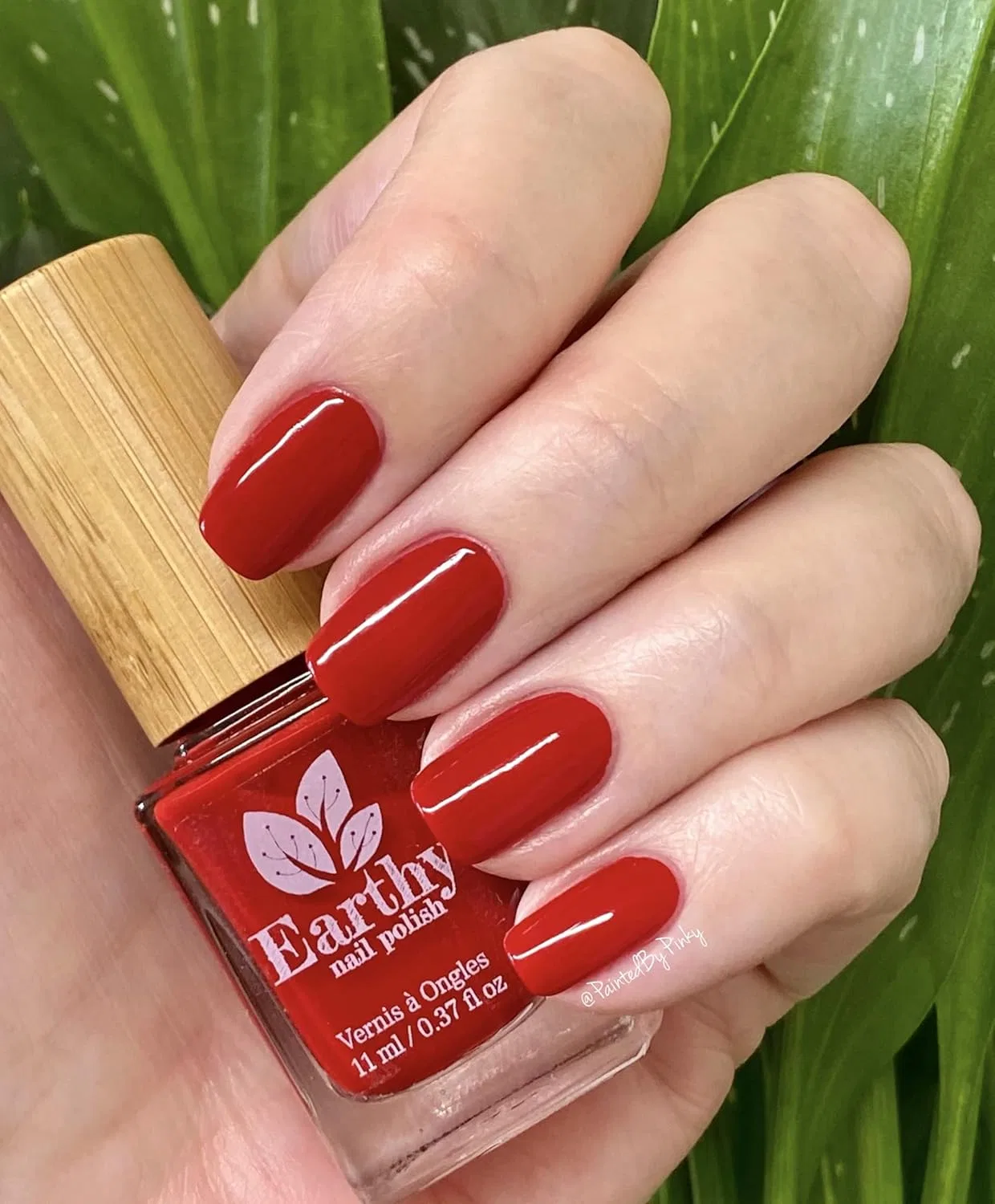 Лак для ногтей Passion Red Earthy Nail Polish — фото 2